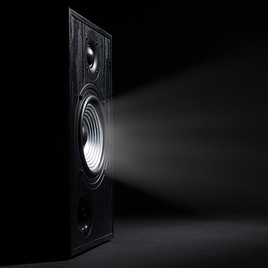 Audio speaker for hire.