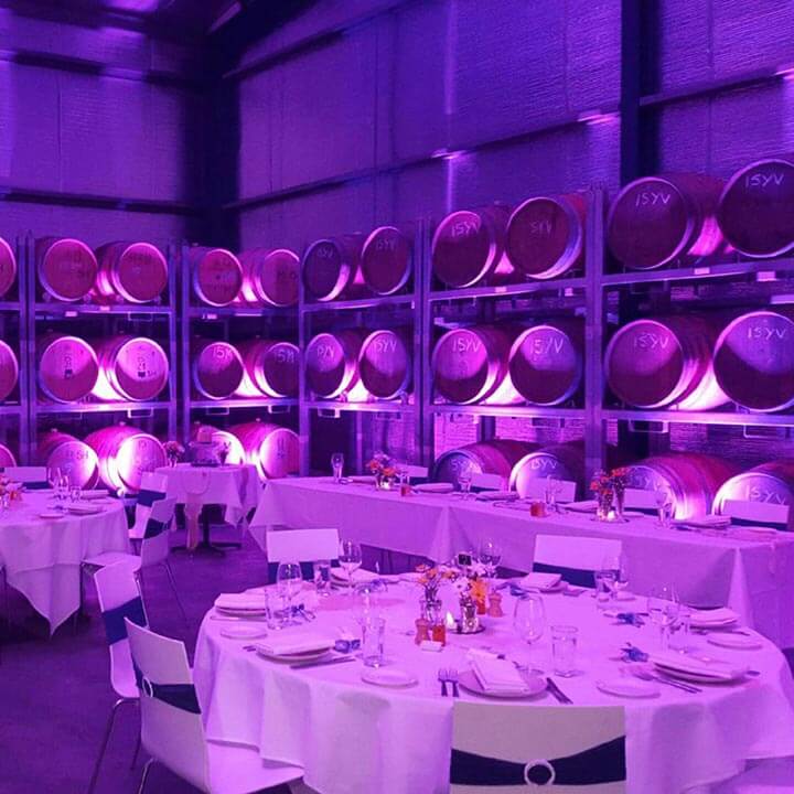 Soft wedding lights at a winery